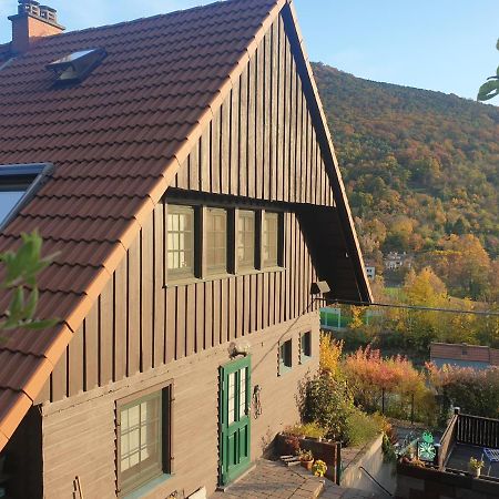 Schontalblick Villa Neustadt an der Weinstraße Exterior foto